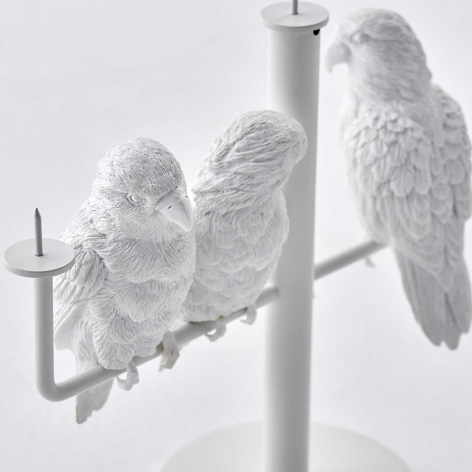 Three parrots create ambiance and good mood as candleholders
